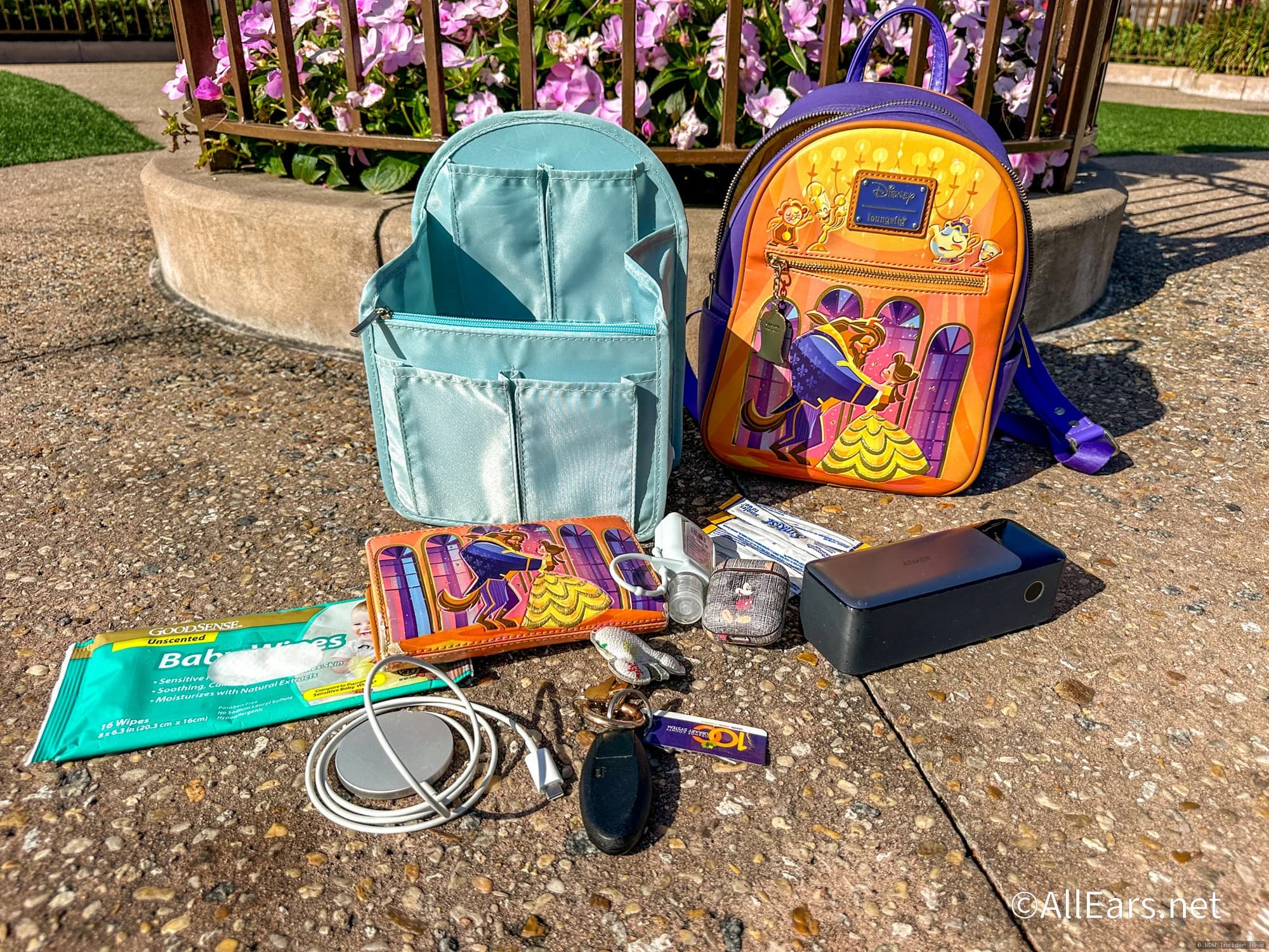 Two BIG Problems With Wearing a Loungefly at Disney World