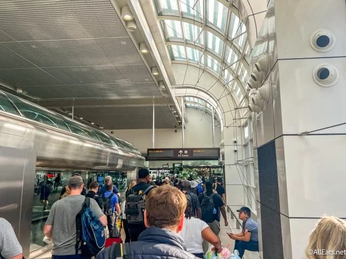 Should I Cancel My 2026 Disney World Trip?