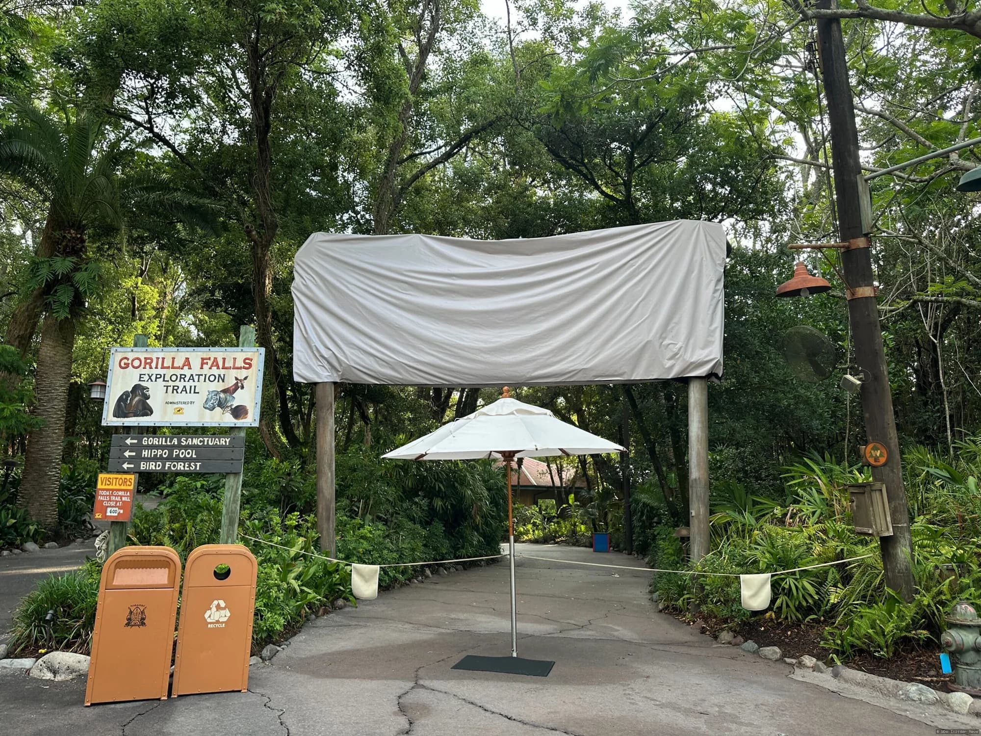 Rafiki statue removed from the Planet Watch entrance sign at Disney's Animal Kingdom theme park
