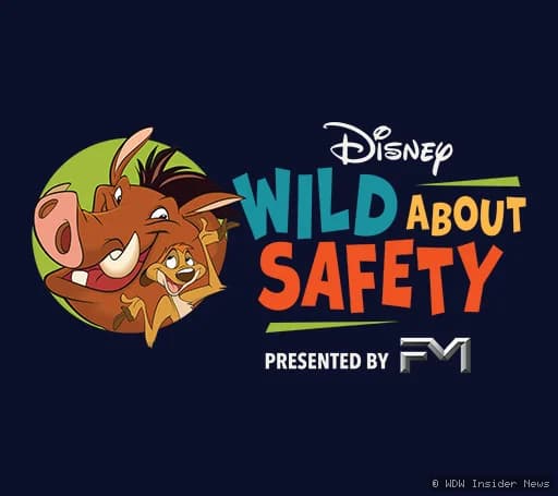 Timon and Pumbaa characters standing together in a bright, colourful setting promoting Disney's safety education programme
