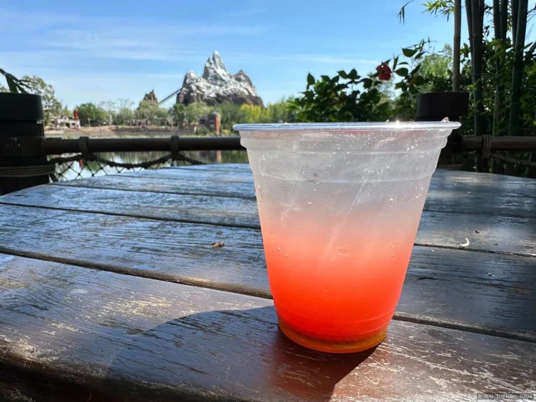Colourful specialty lemonades displayed at a Walt Disney World beverage stand on a sunny day