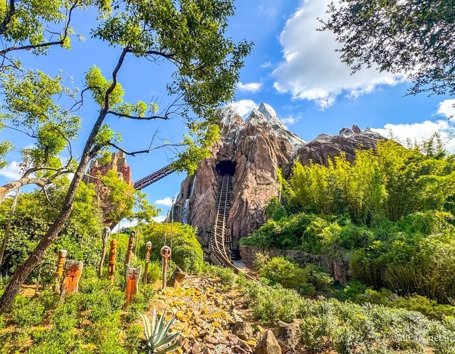 CHANGE Hits a Popular Animal Kingdom Ride