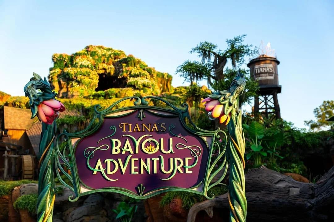 British Man Arrested for Pushing Teenage Girl in Line at Magic Kingdom Thrill Ride