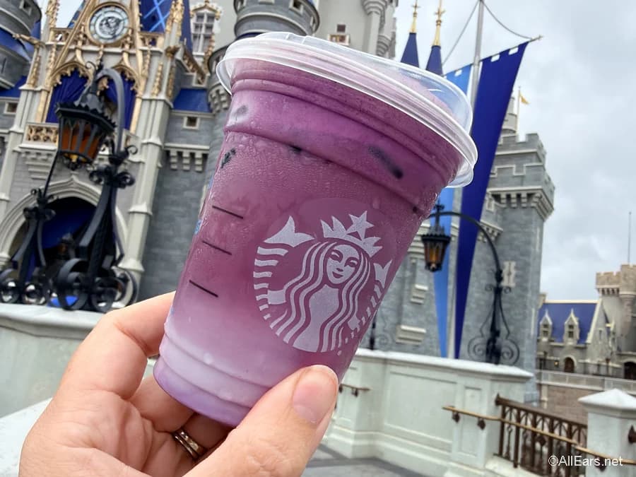 We Have SERIOUS Opinions About These New Starbucks Drinks in Disney World